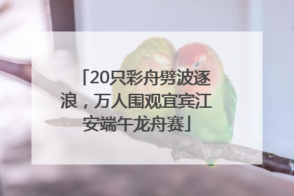 20只彩舟劈波逐浪，万人围观宜宾江安端午龙舟赛