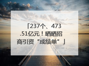 237个、473.51亿元！晒晒招商引资“成绩单”