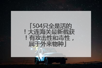 504只全是活的！大连海关最新截获！有攻击性和毒性，属于外来物种