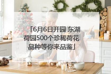 6月6日开园 东湖荷园500个珍稀荷花品种等你来品鉴