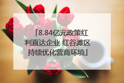 8.84亿元政策红利直达企业 红谷滩区持续优化营商环境