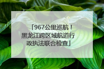 967公里巡航！黑龙江跨区域航道行政执法联合检查