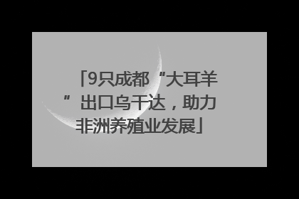 9只成都“大耳羊”出口乌干达，助力非洲养殖业发展