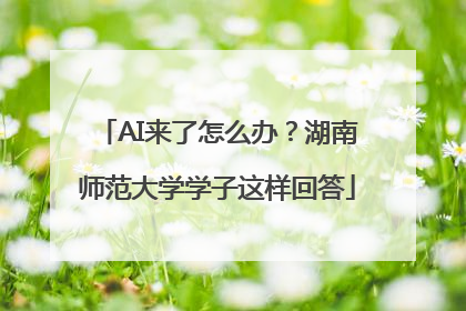 AI来了怎么办？湖南师范大学学子这样回答