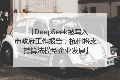 DeepSeek被写入市政府工作报告，杭州将支持算法模型企业发展