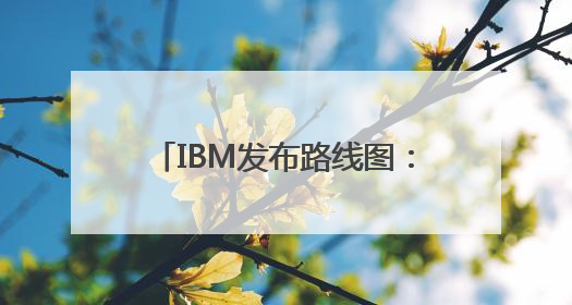 IBM发布路线图：2029年前推出大规模容错量子计算机