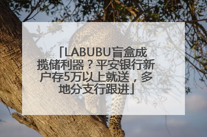 LABUBU盲盒成揽储利器？平安银行新户存5万以上就送，多地分支行跟进